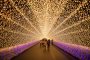 Nabana no Sato Illumination