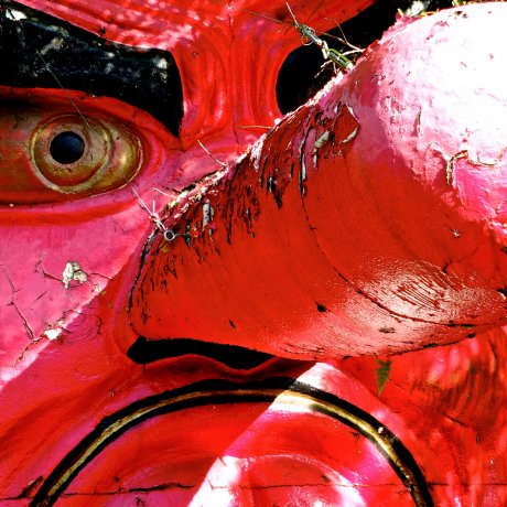 The Beauty of Kurama