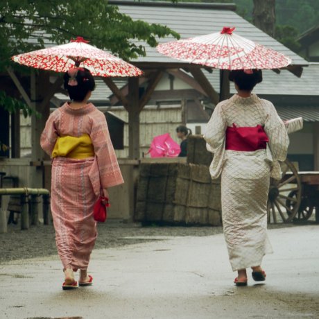 Things to Do in Tochigi