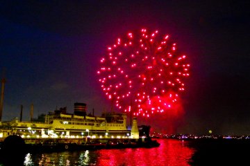 Yokohama Night Flowers