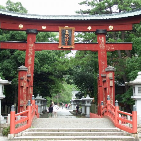 Things to Do in Fukui