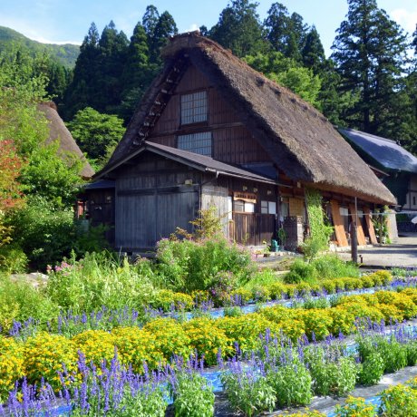 Things to Do in Gifu