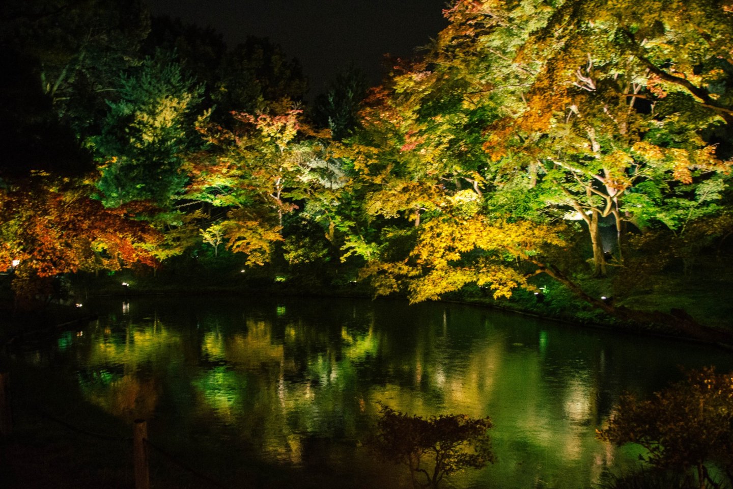 Kodai-ji Autumn Illumination