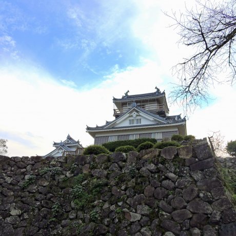 Ono Castle