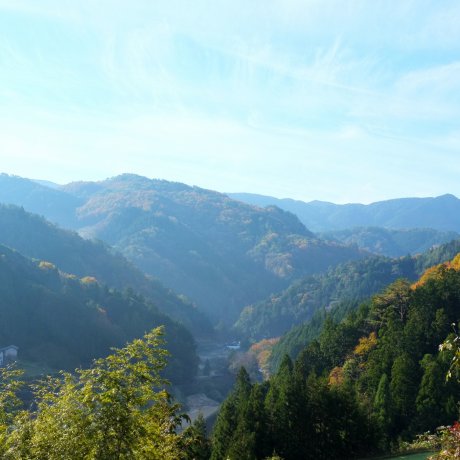 Things to Do in Kochi