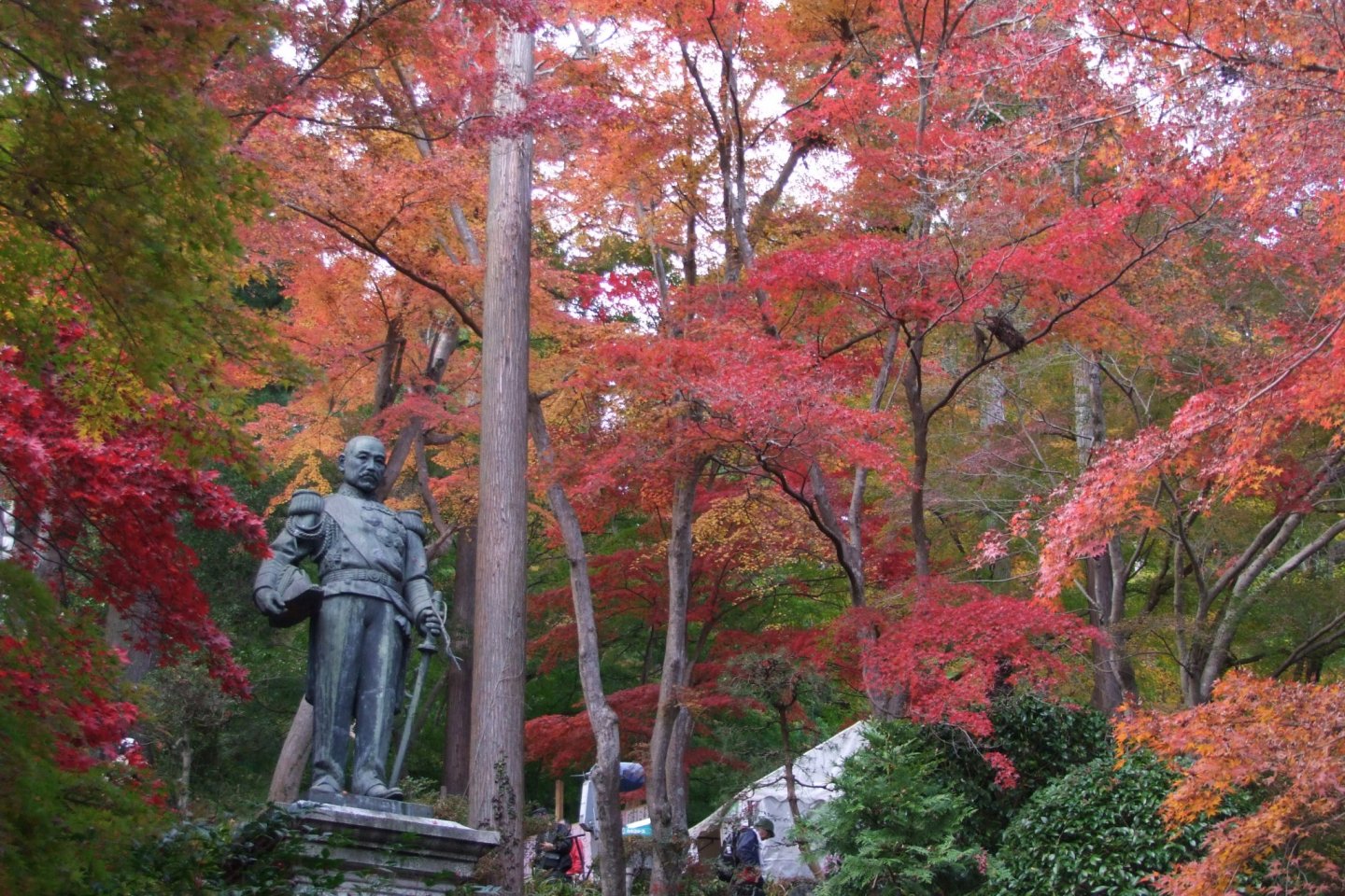 Autumn Maple Festival at Togo Park