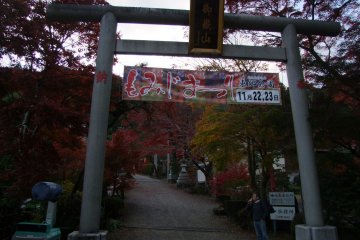 Autumn Maple Festival at Togo Park