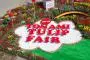 Tonami Tulip Fair