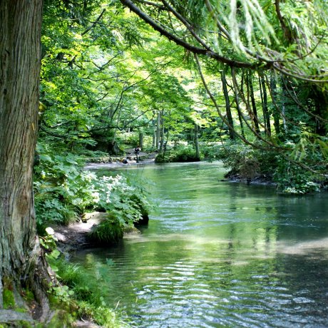 Things to Do in Aomori