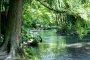 Hiking Along the Oirase Stream