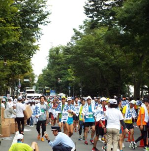 Sapporo Marathon - Locals run a short course