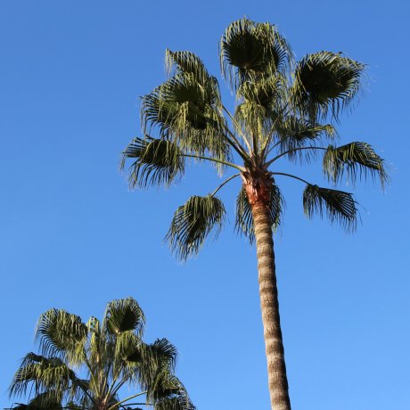 Things to Do in Miyazaki