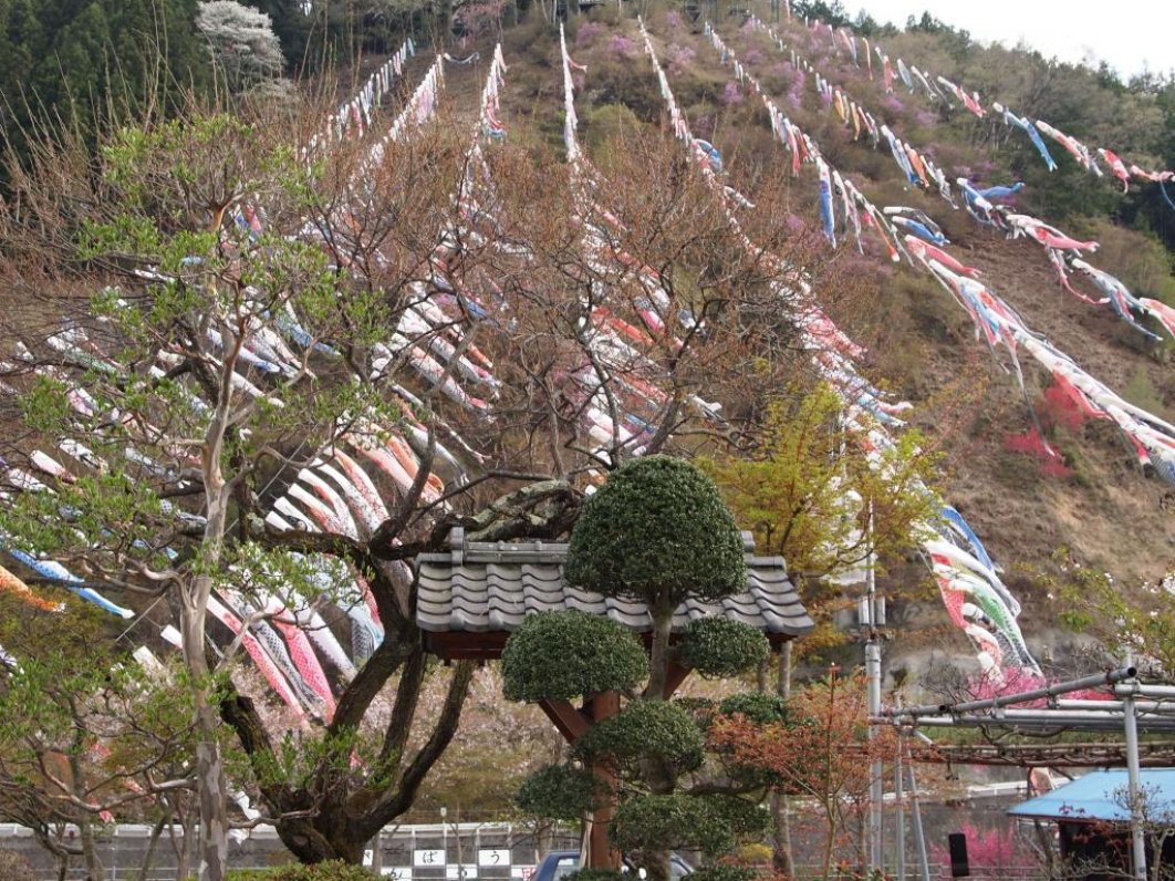 Koinobori by the Jinryu River in Kanna
