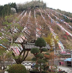 Koinobori by the Jinryu River in Kanna