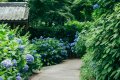 Kamakura