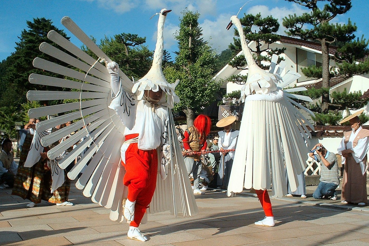 Heron Dance