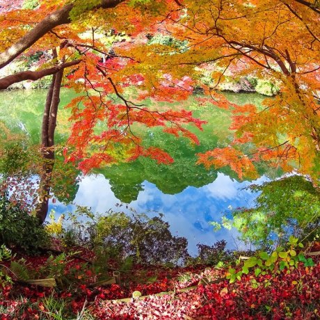 Things to Do in Toyama