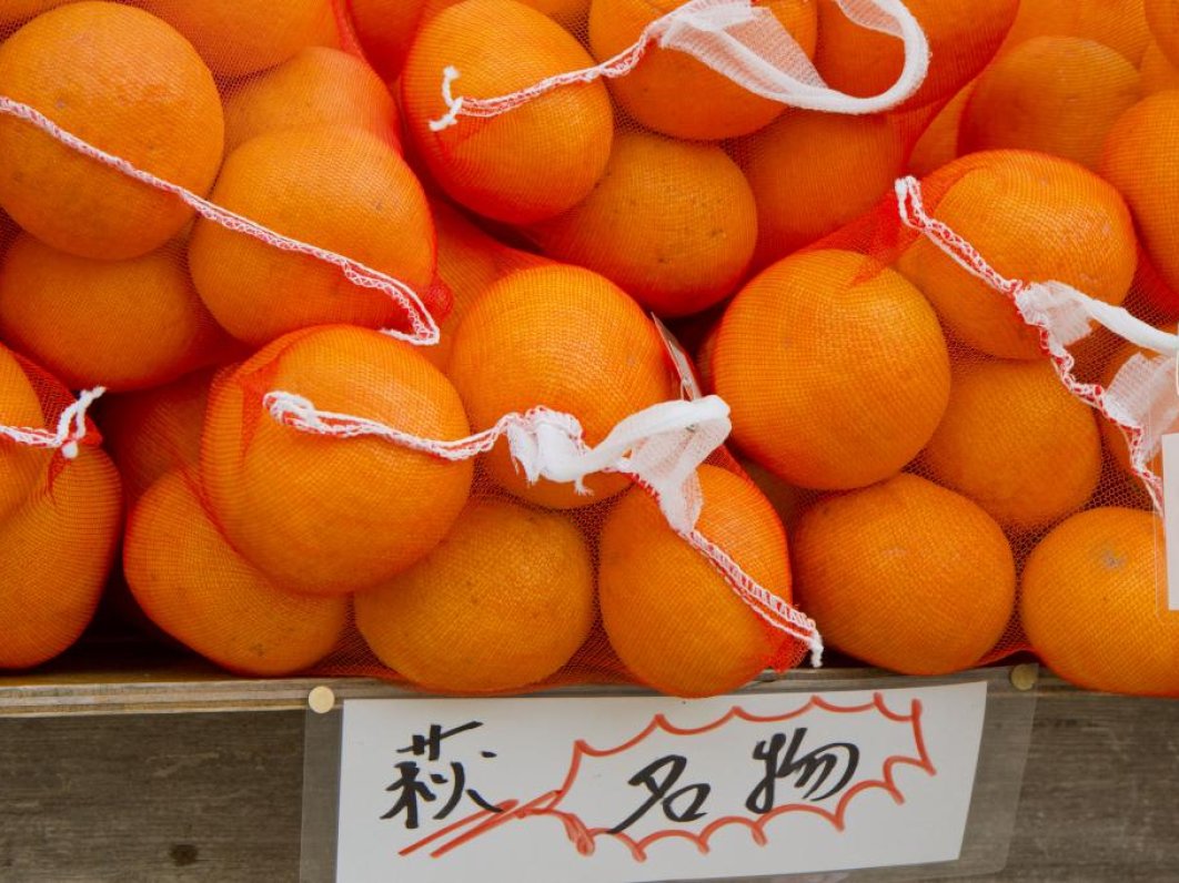 Hagi is famous for oranges