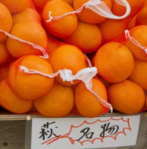 Hagi is famous for oranges