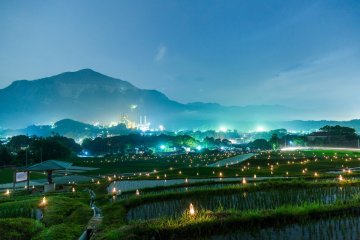 Terasaka Firefly Festival