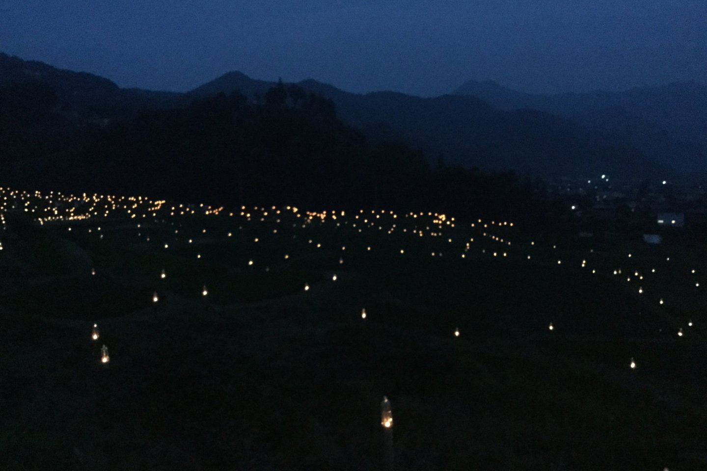 Terasaka Firefly Festival