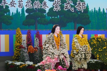 Takefu Chrysanthemum Doll Festival