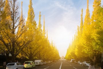 Jingu Gaien Ginkgo Festival