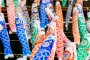 Tatebayashi Koinobori Festival