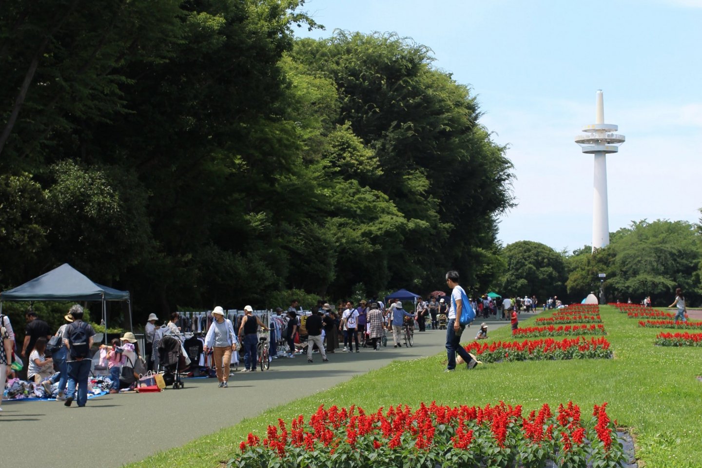 Flea Market at Tokorozawa Aviation Memorial Park