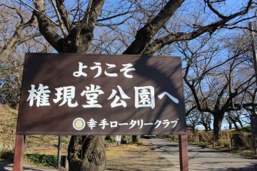 Daffodil Festival at Gongendo Park