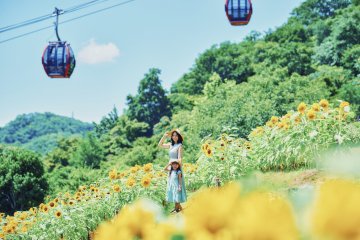 Summer Garden Fest