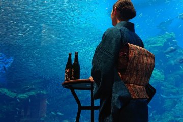 Sake Aquarium Night