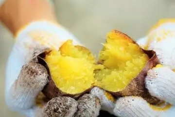Sweet Potato Festival