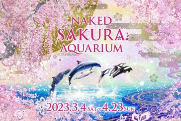 Naked Sakura Aquarium