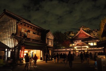 Edo-Tokyo Architectural Garden Autumn Illumination