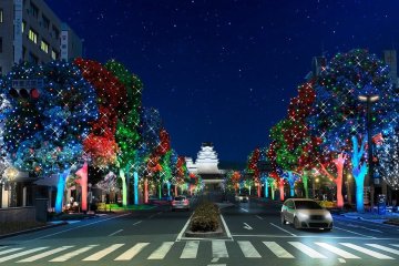 Himeji Otemae Street Illumination