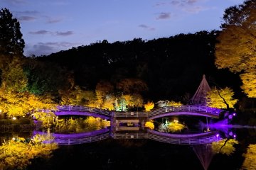 Yakushi-ike Park Autumn Illumination