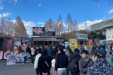 Japanese Food Festival