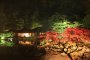 Ritsurin Autumn Illumination