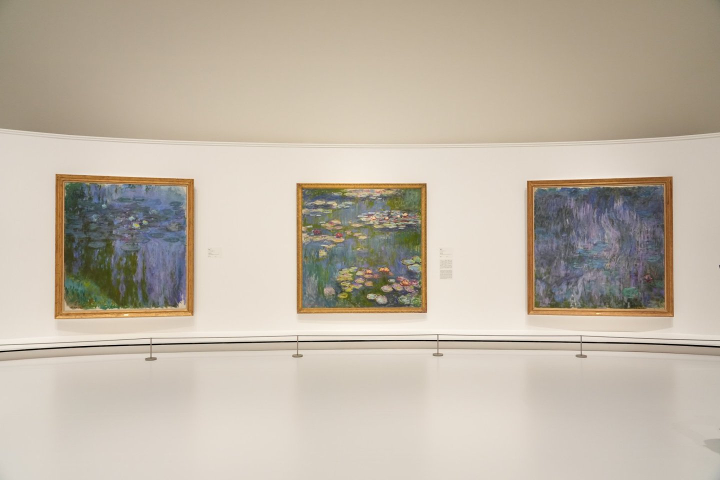 Monet: The Water Lilies