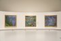 Monet: The Water Lilies