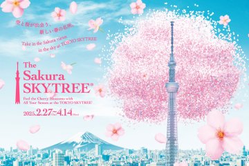 The Sakura Skytree