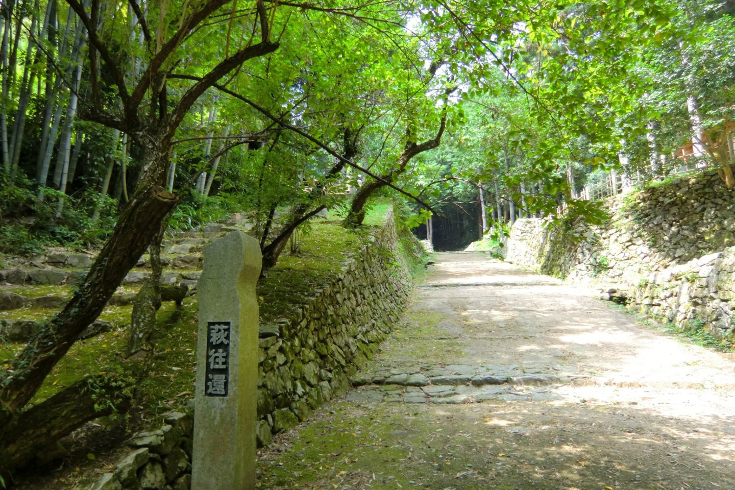 Hagi Okan Maranic and Walk