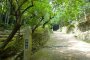 Hagi Okan Maranic and Walk