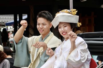Fox Wedding Festival