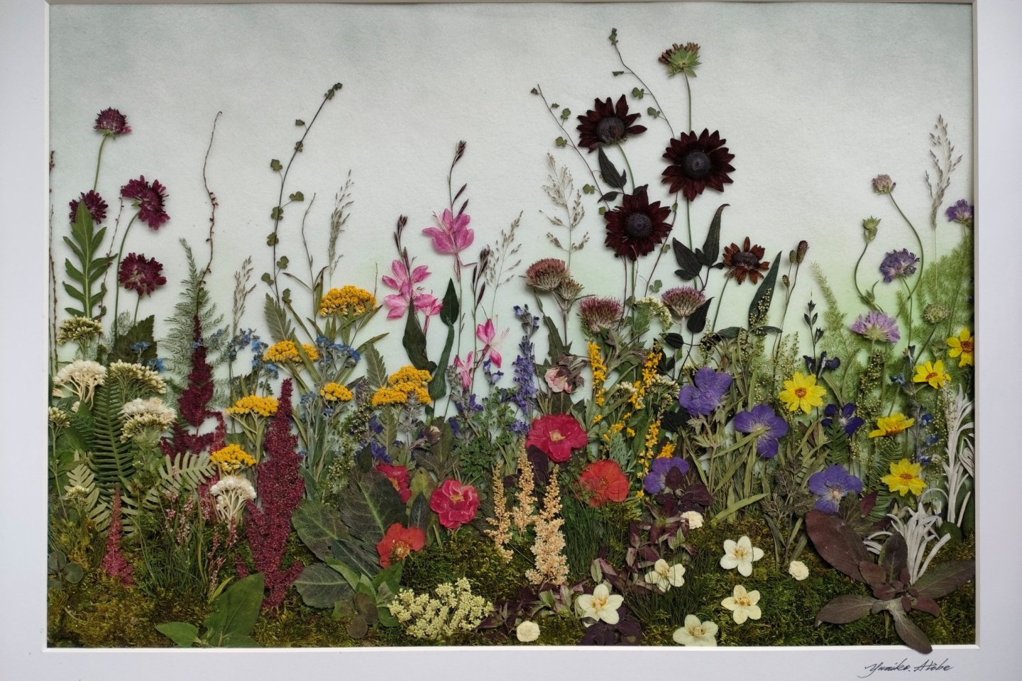 Pressed Flowers in Everyday Life