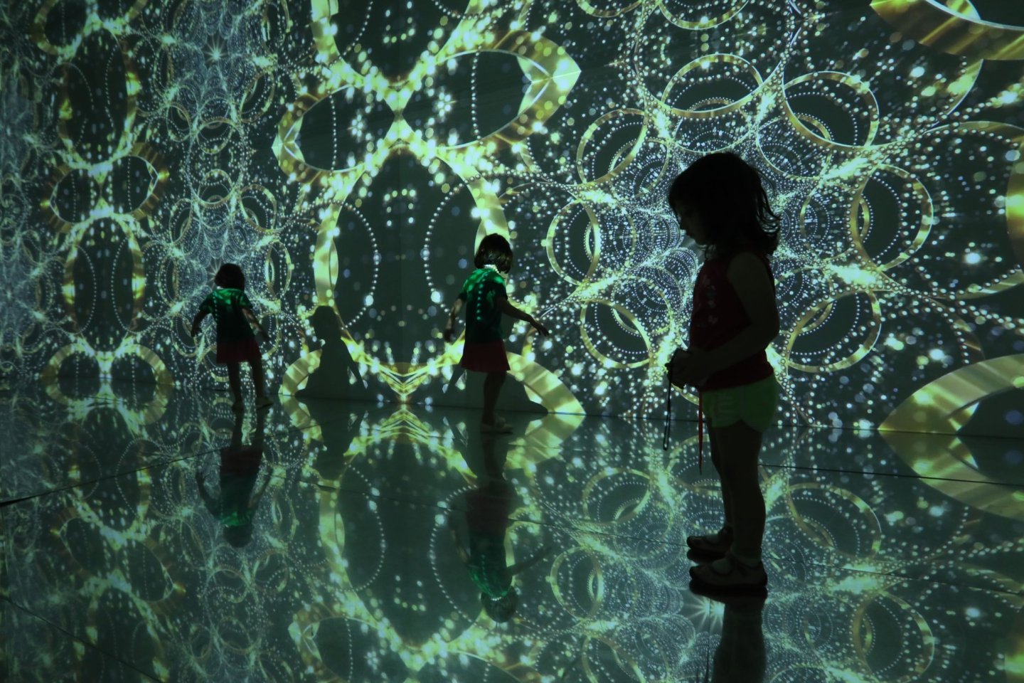 European Digital Art Experience