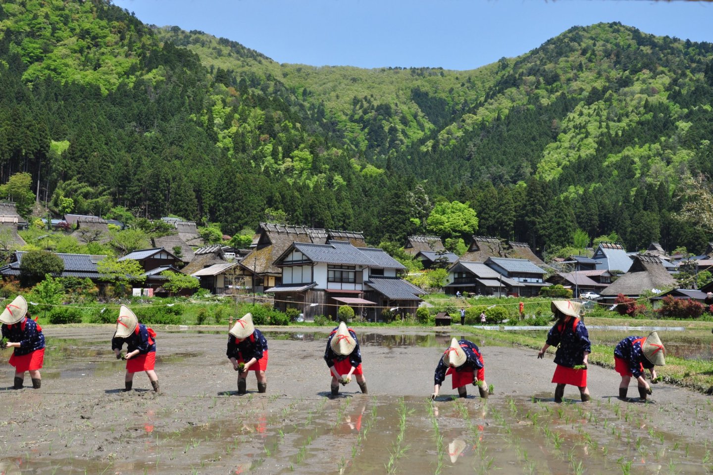 Miyama Rice Planting Festival