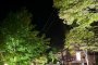 Spring Green Light Up at Fukuchi Onsen