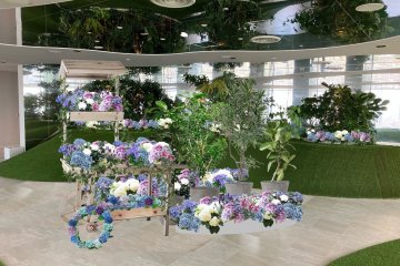 Tenbo Park Rainy Season